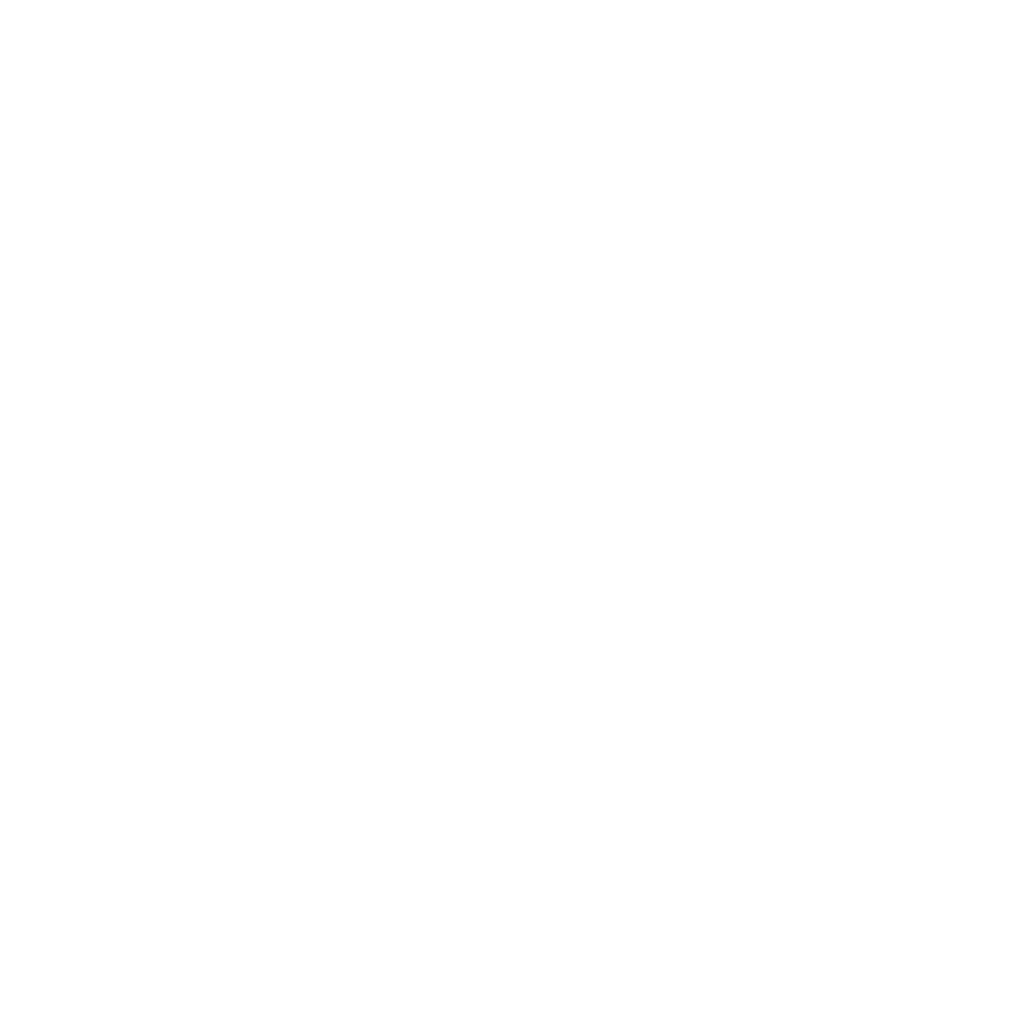 bc group logo blanco
