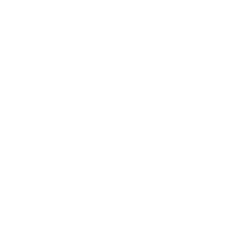 autos ss logho blanco